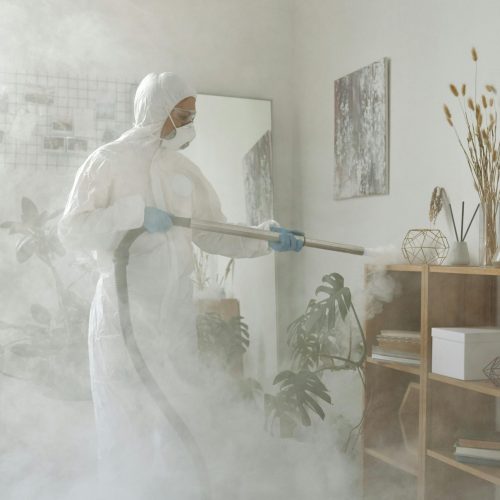 Individual in protective gear fumigating a room with smoke visible, focusing on hygiene and safety.