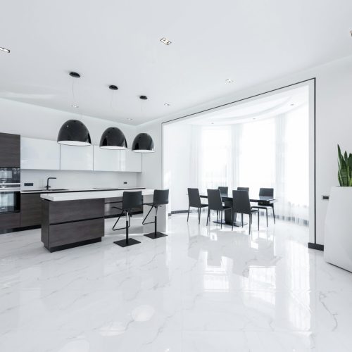 Interior of modern spacious kitchen with minimalist furniture and shiny marble styled floor decorated with creative white pots of fresh green plants