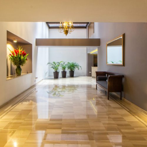 Luxurious hallway featuring marble flooring, decorative plants, and modern interior design.