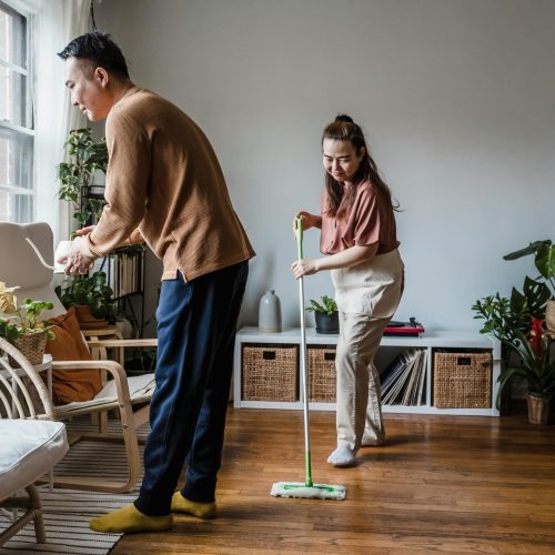 A cheerful couple cleaning their living room together, surrounded by indoor plants and cozy furniture.